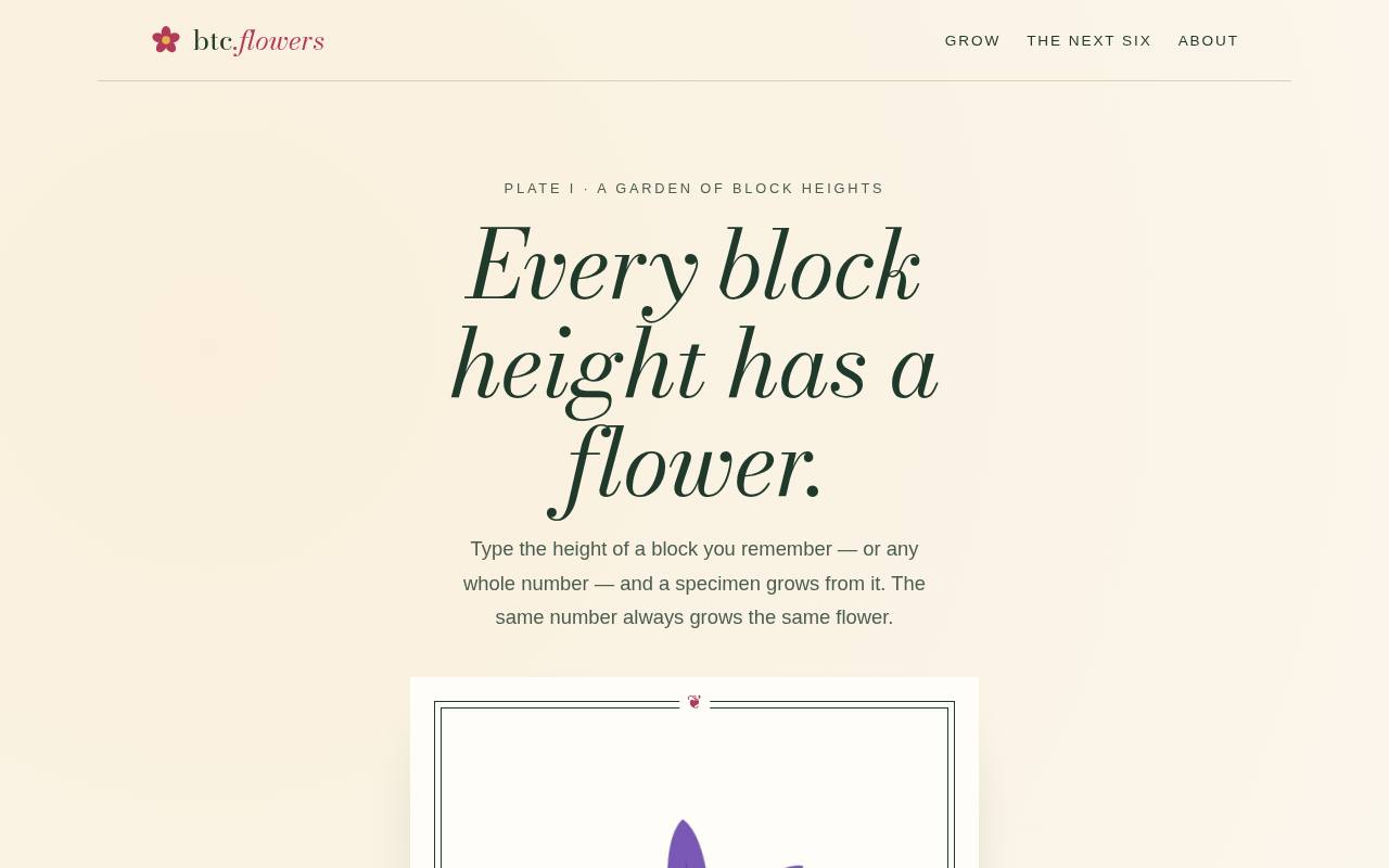 Screenshot of the btc.flowers home page